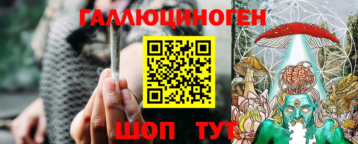 Псилоцибиновые грибы Magic Shrooms Гатчина