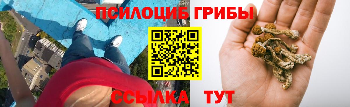 Гатчина  Псилоцибиновые грибы GOLDEN TEACHER  Вход с VPN 